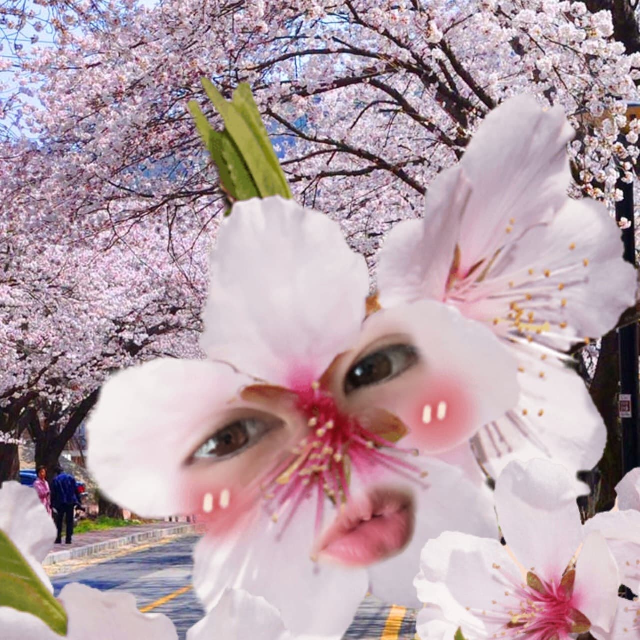 ぽみち