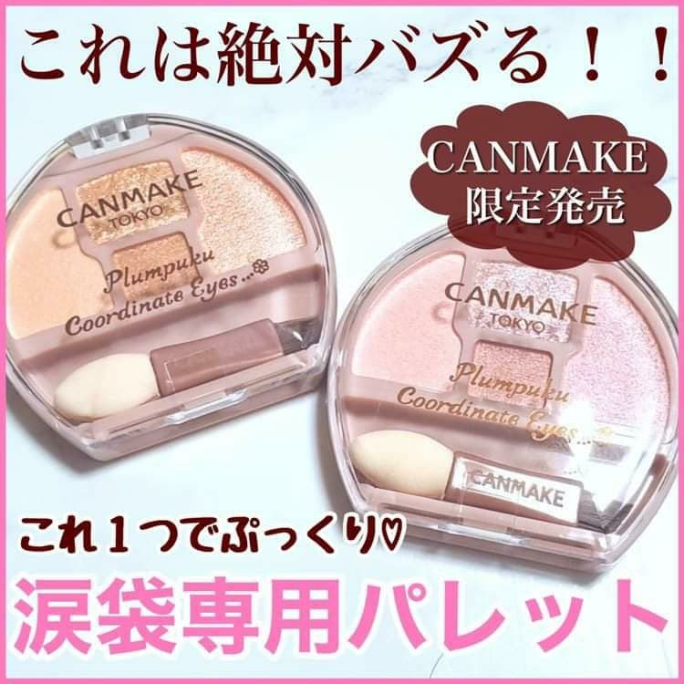【キャンメイクから涙袋専用パ
レット登場！】