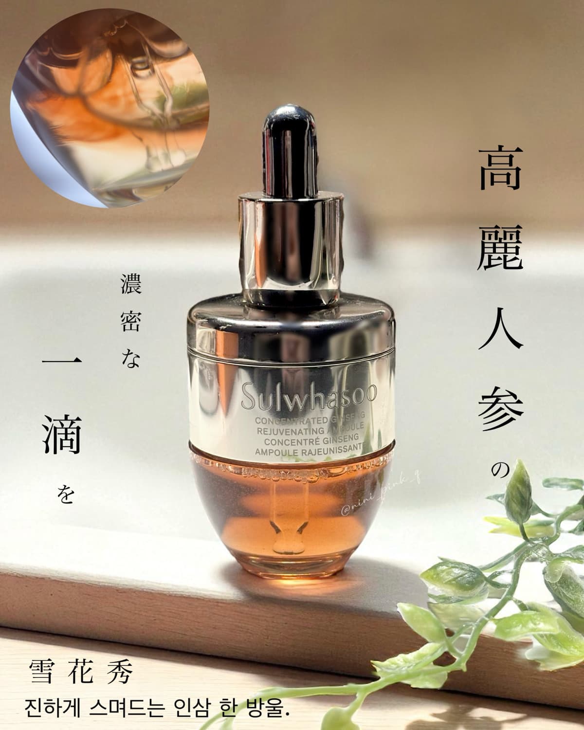 高麗人参の 濃密な、一滴を。