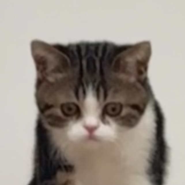 しらす梅