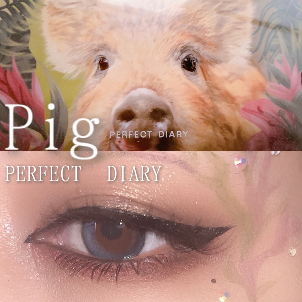 パーフェクトダイアリー pig