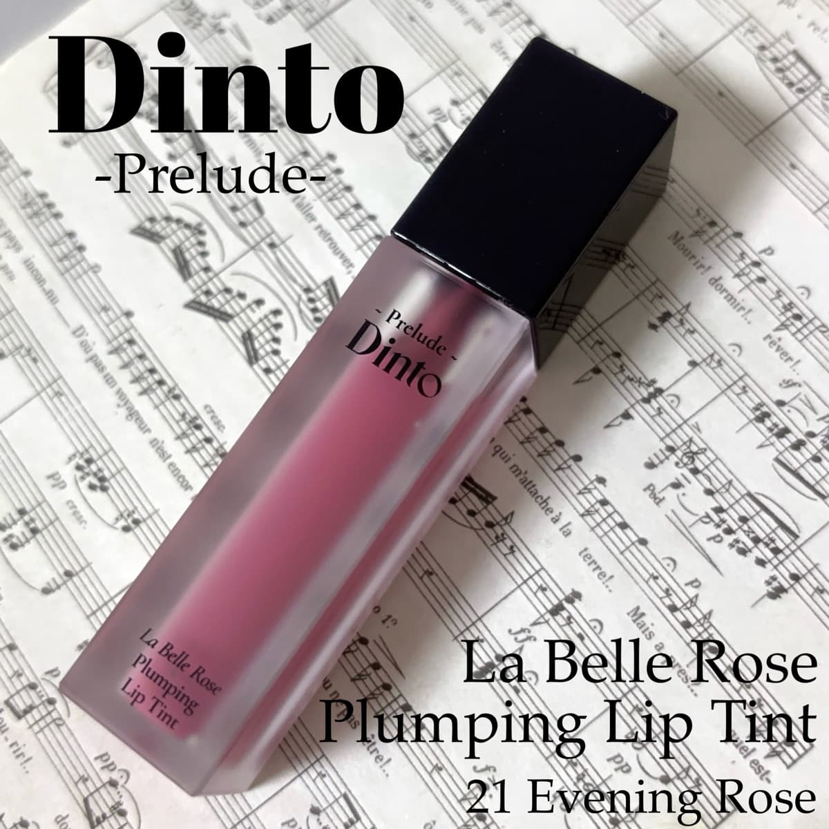 Dinto💋新作リップ